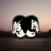 DEATH FROM ABOVE 1979 - Physical world