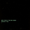 Nick CAVE And The Bad Seeds </br> Skeleton Tree