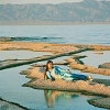 Weyes BLOOD</br>Front Row Seat To Earth